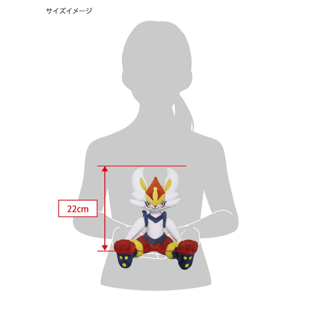 Rare Aceburn plushie from Japan with collectible box