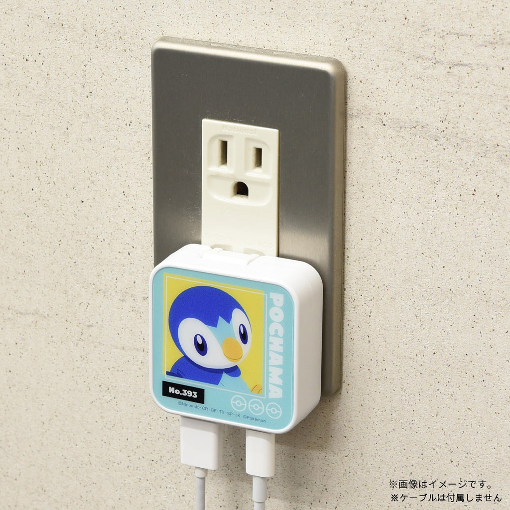 USB/USB Type-C AC adapter Pocchama 815D