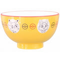 Pokemon Soup Bowl with featured character from Japan, 10.5cm diameter