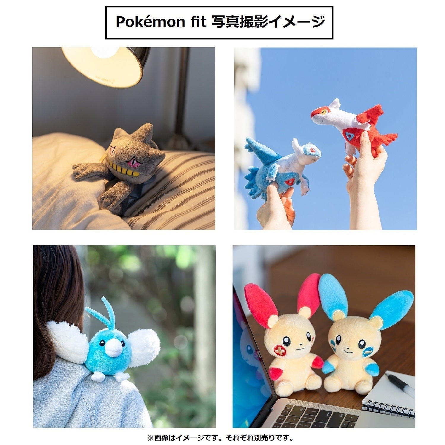 Bagon #371 Pokémon fit Plush – Official Pokémon Center Japan