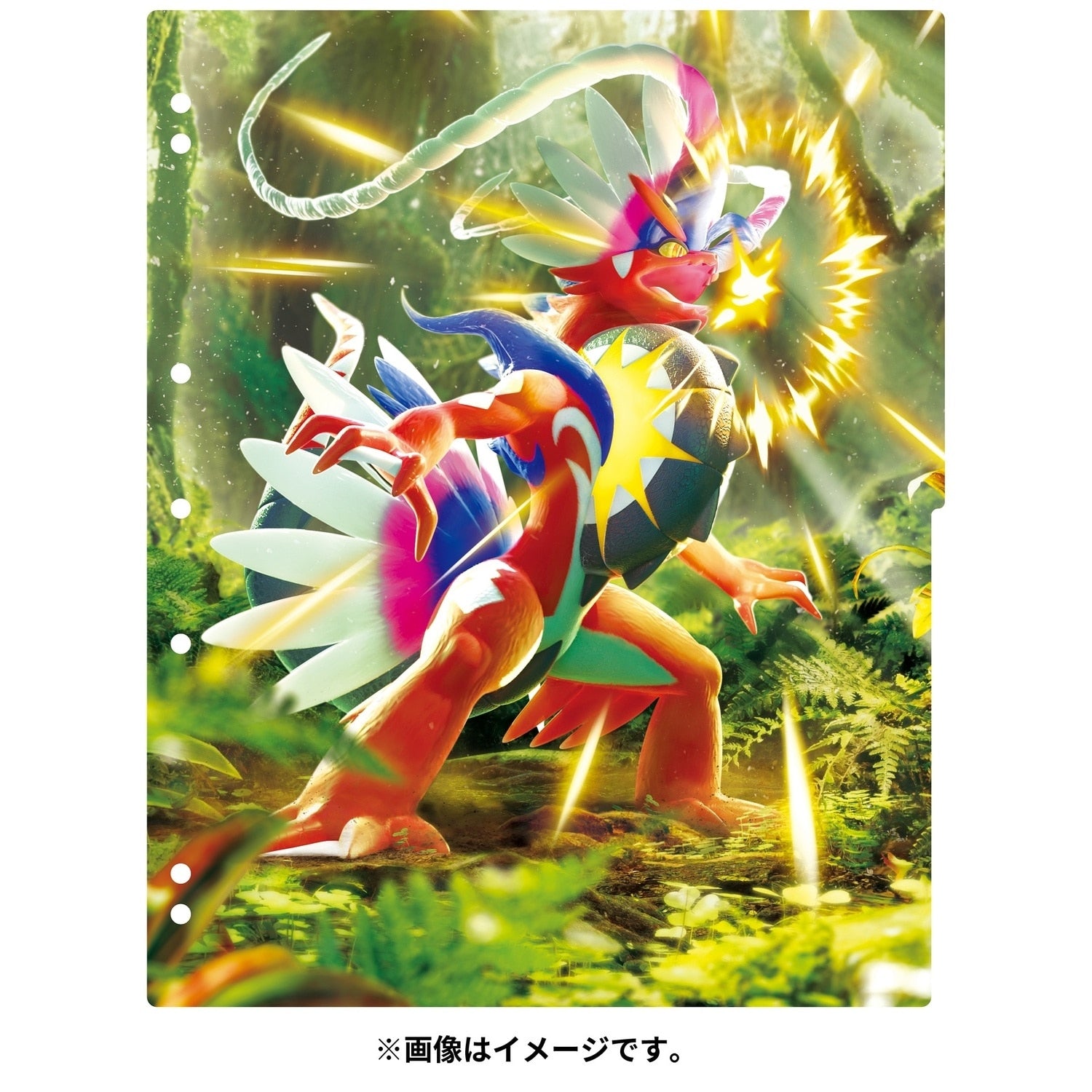 Pokemon TCG Collection Refill Koraidon & Miraidon | Japan Exclusive