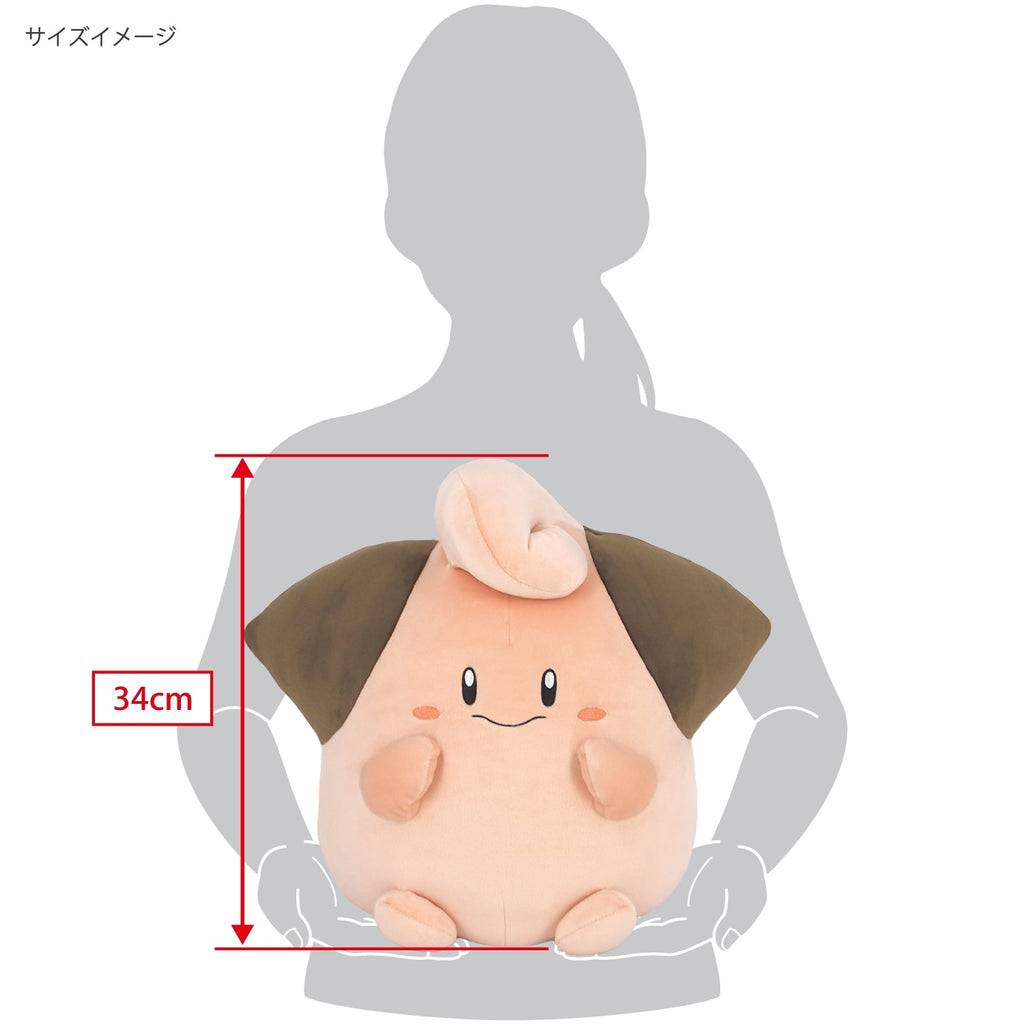 Potehugu Cushion Pi