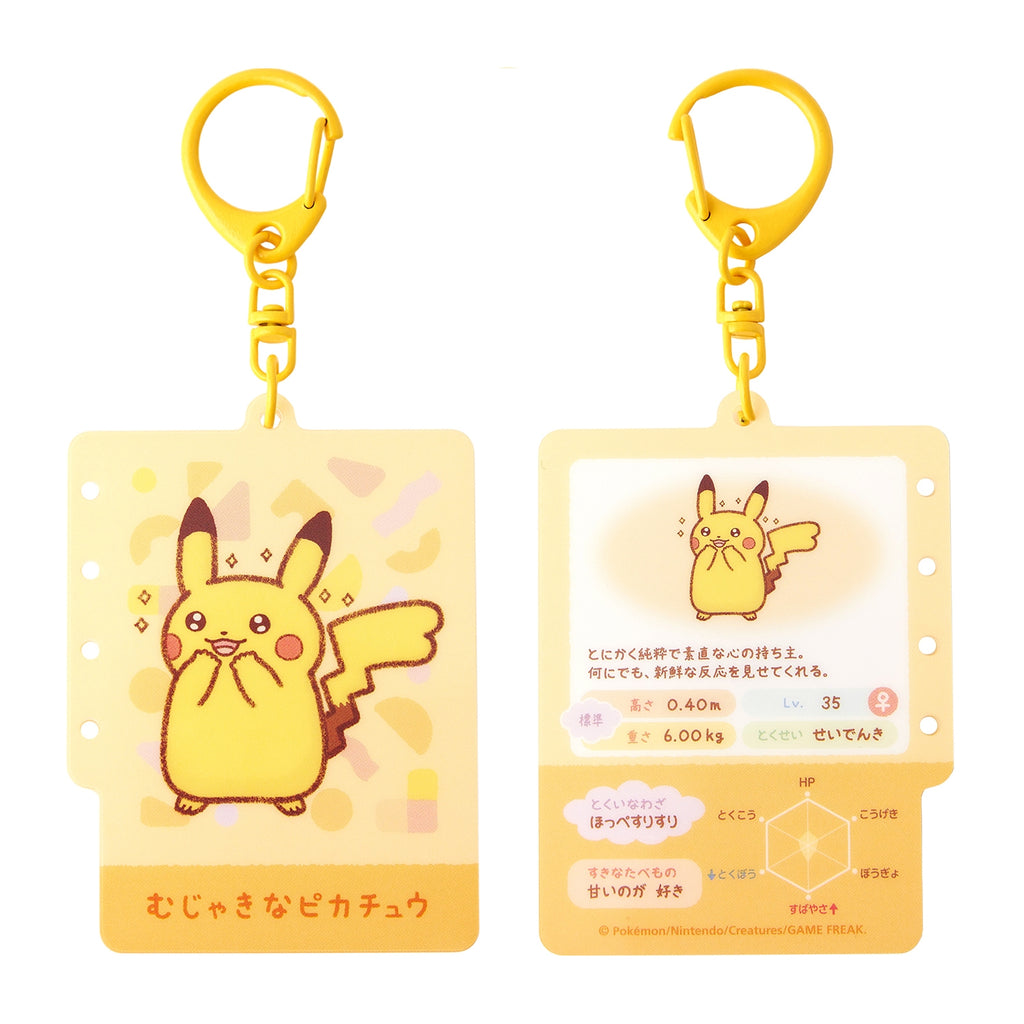 Acrylic key chain collection ten pocket ten colors BOX