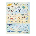 Pokemon Ecology Encyclopedia Sticker, A4 size PET sticker from Japan