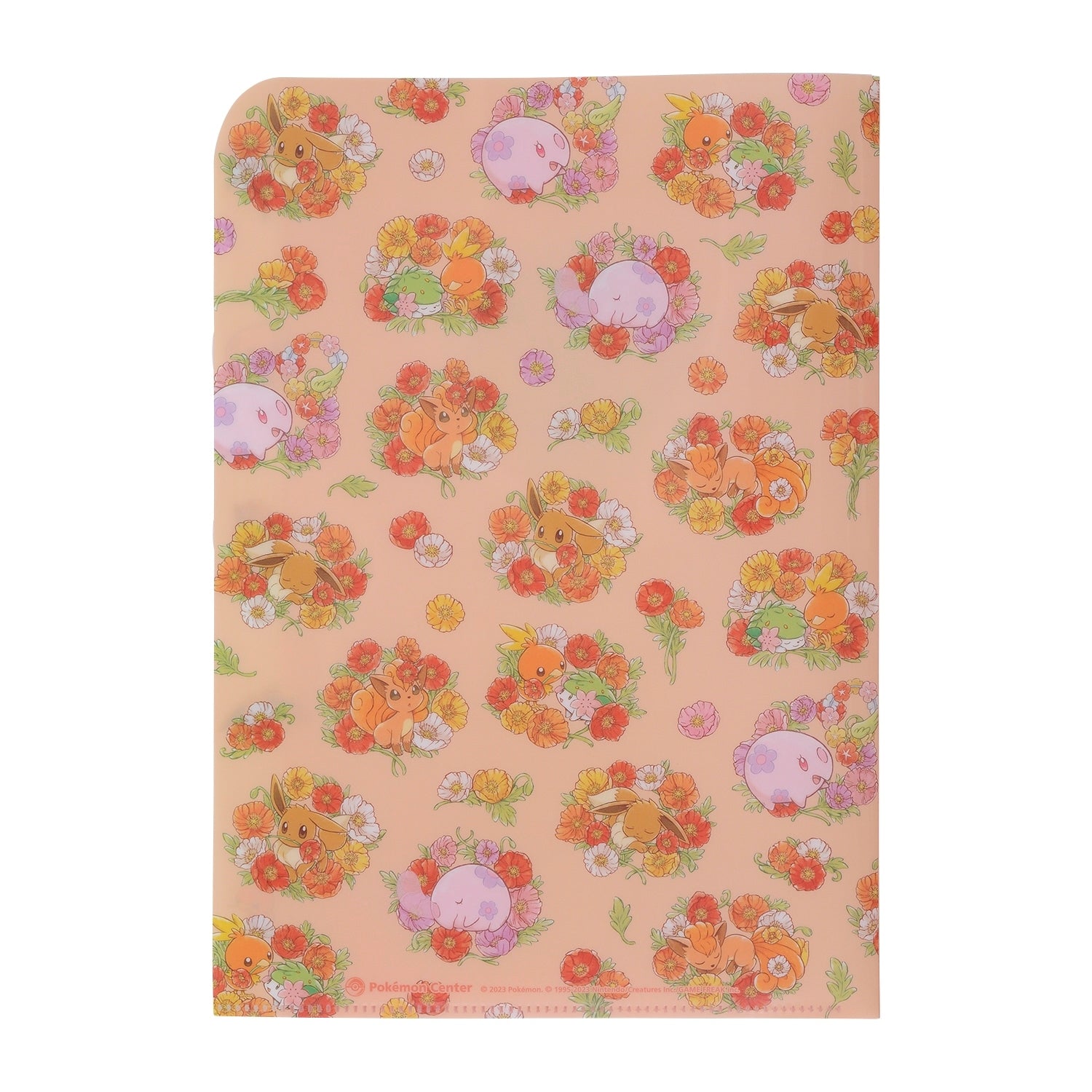 Close-up of A4 clear file 5 pockets Fleur de Coquelicot with Pokemon logo from Japan