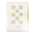 Pikachu 5 index clear file "Pikachu number025" pastel color