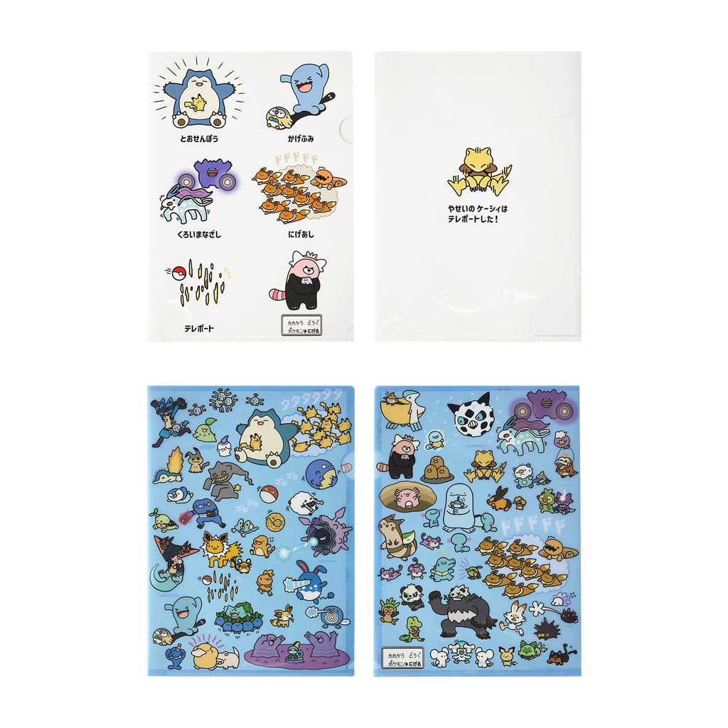 Set of 2 A4 clear files