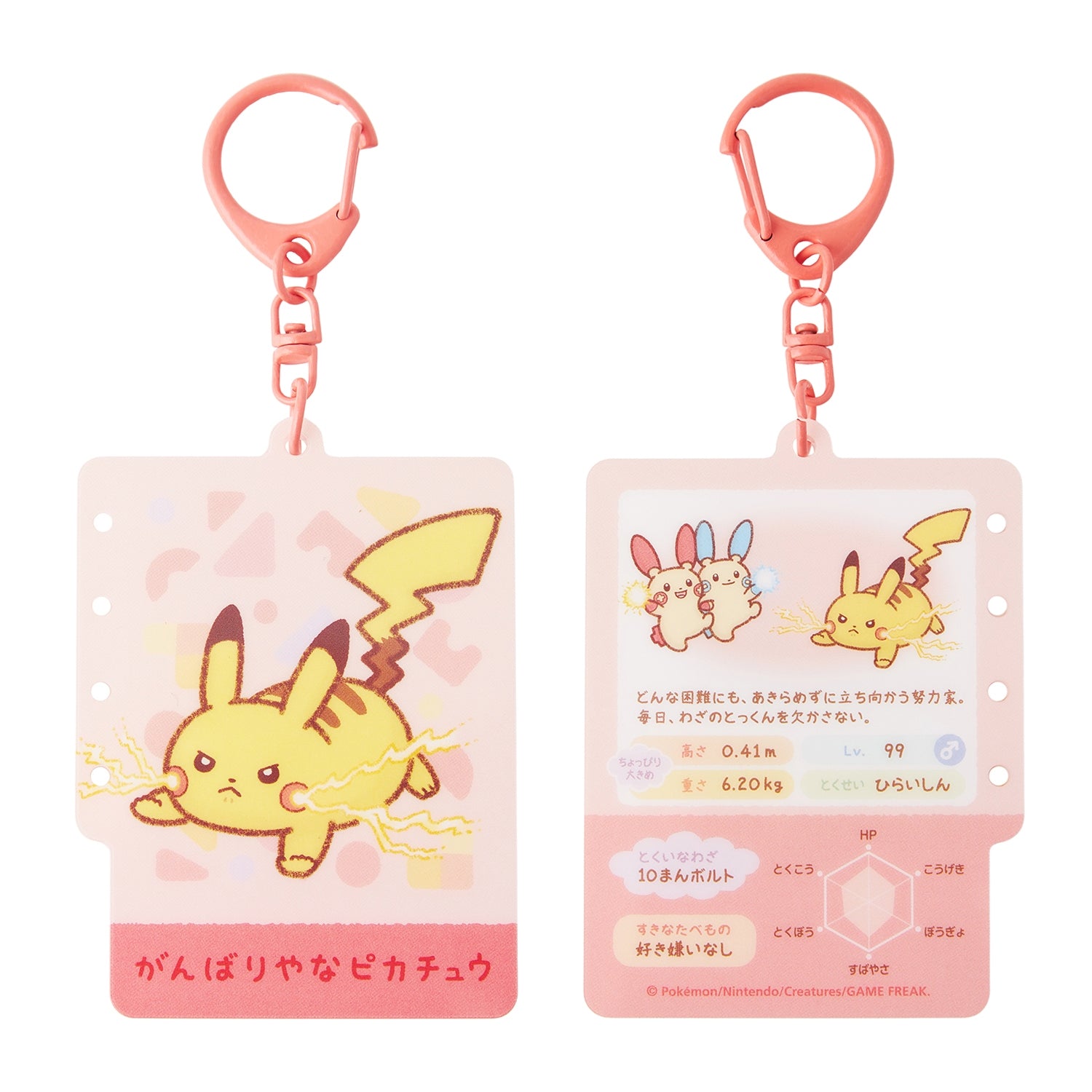 Acrylic key chain collection ten pocket ten colors BOX