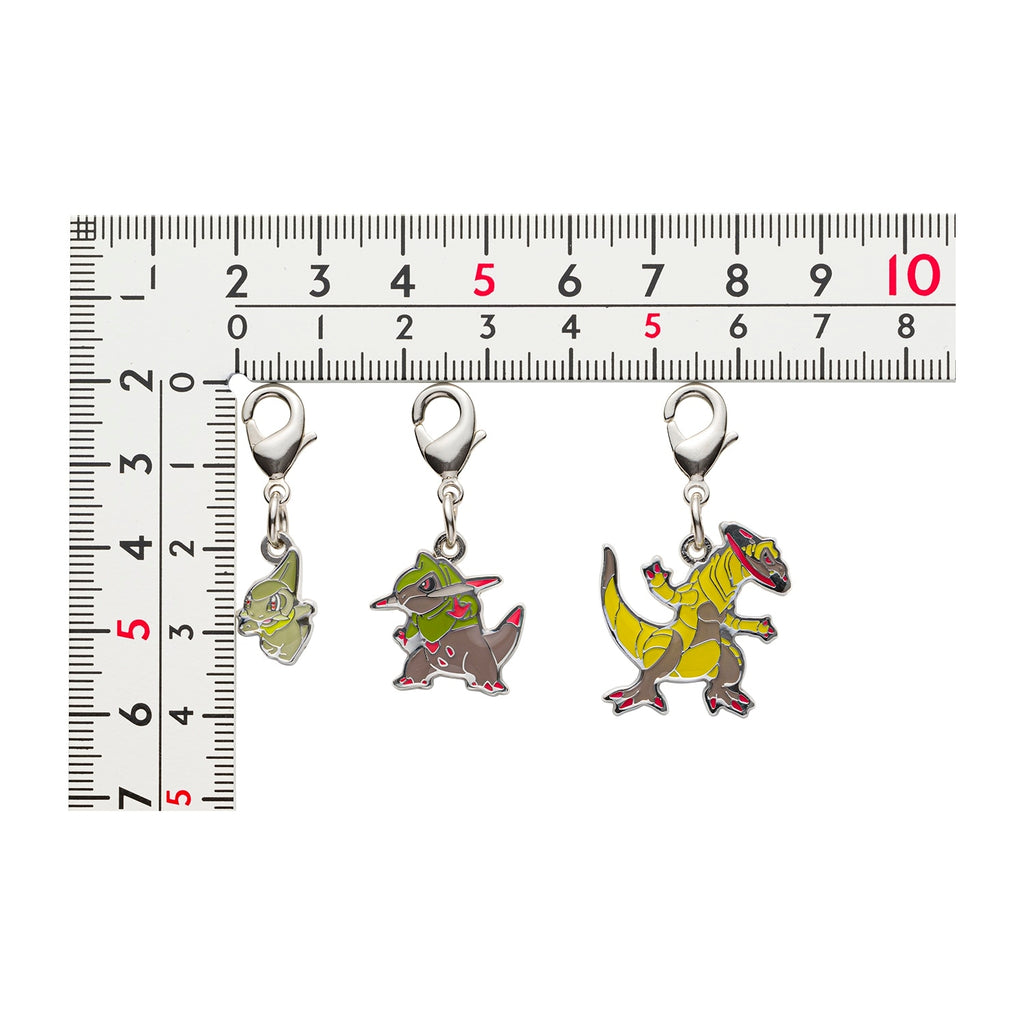 Pokemon Japan Metal Charm 611-612, collectible item with authentic packaging from Japan