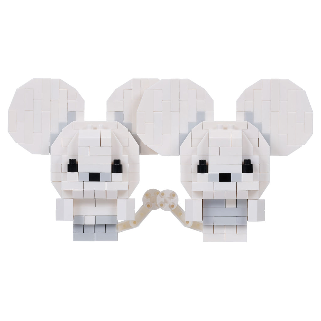 Nanoblock Wakkarat RS Pokemon Center Online exclusive from Japan, rare collectible