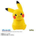 Palm Pikachu Pokefuwa figure from Japan with colorful packaging