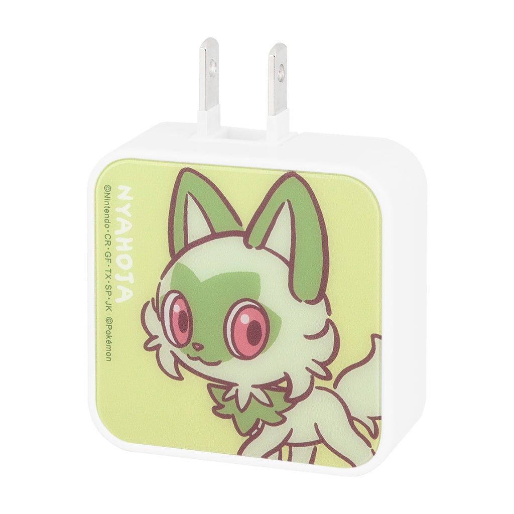USB/USB Type-C AC adapter Nyaoha