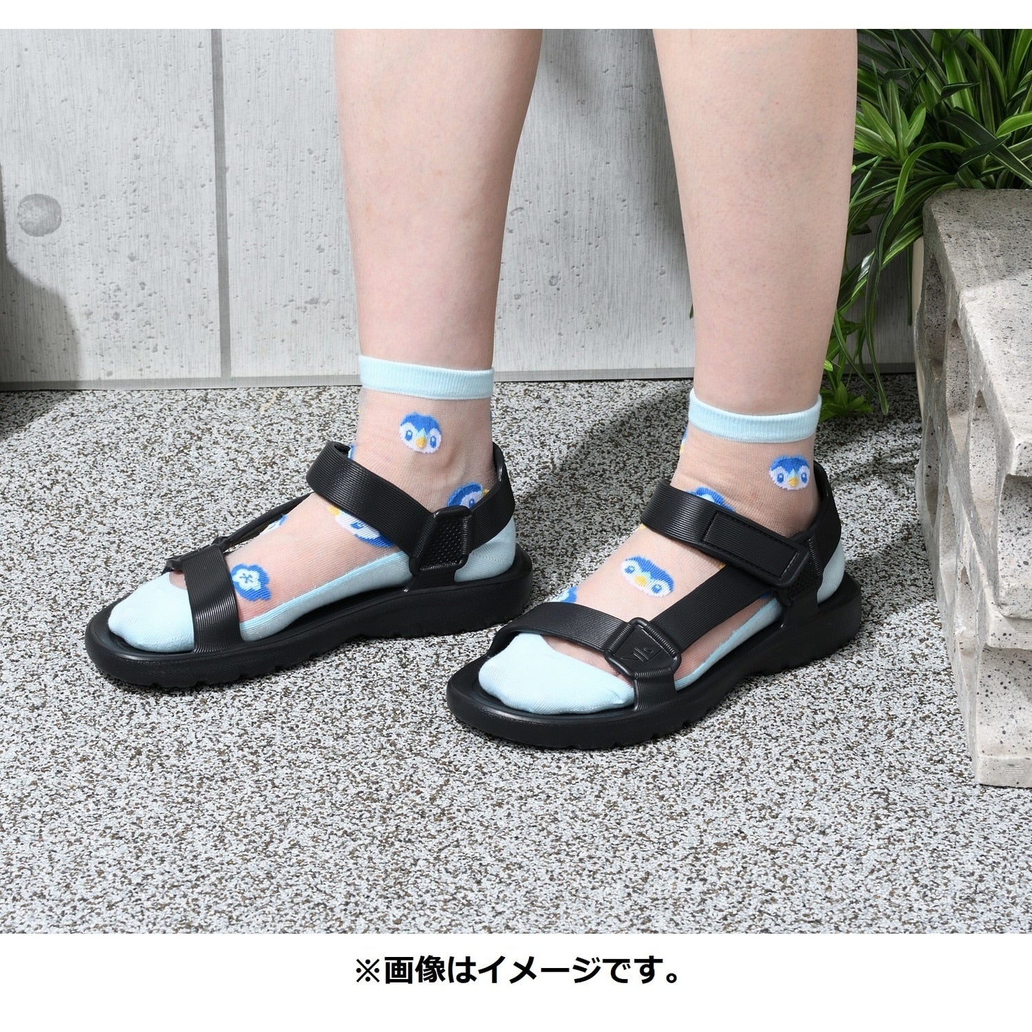[Choice] Middle socks see-through Piplup (23-24cm)