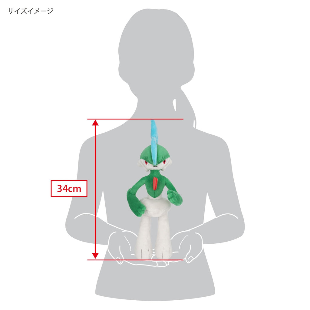 Japanese Pokemon plush toy, high-quality materials and craftsmanship from Japan