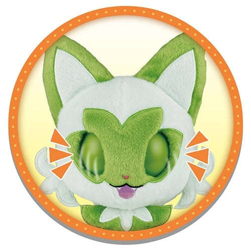 Stroke me and look at me ♪ Pachikuri Nyaoha