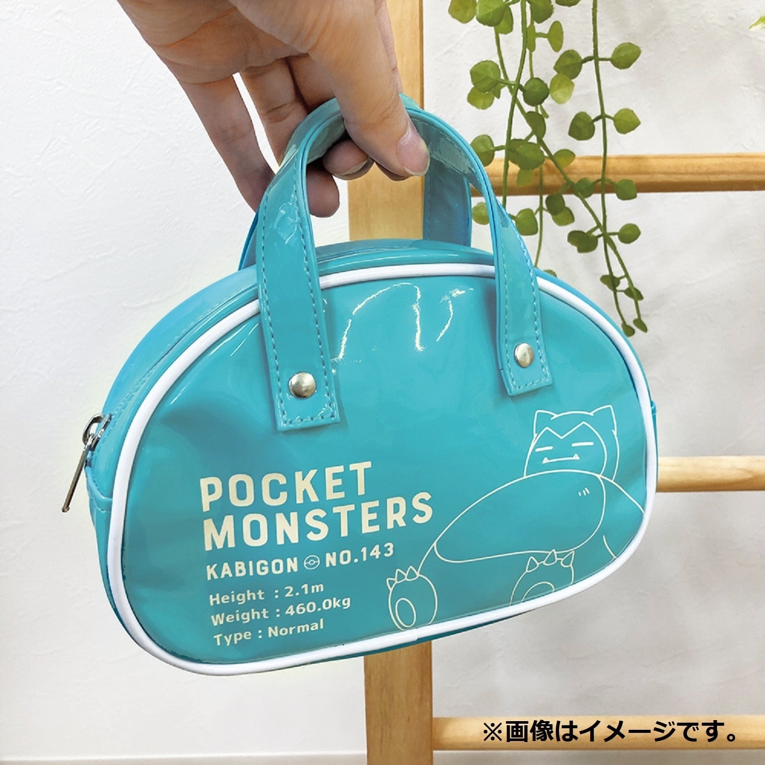Boston type pouch Snorlax