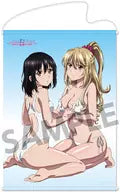 Hime Holly Yukina & Aiba Asagi B2 Tapestry "STRIKE THE BLOOD IV"