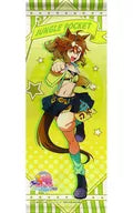 Jungle Pocket Slim Tapestry "Theatre Version Uma Musume Pretty Derby Door of a New Era" Theater Goods
