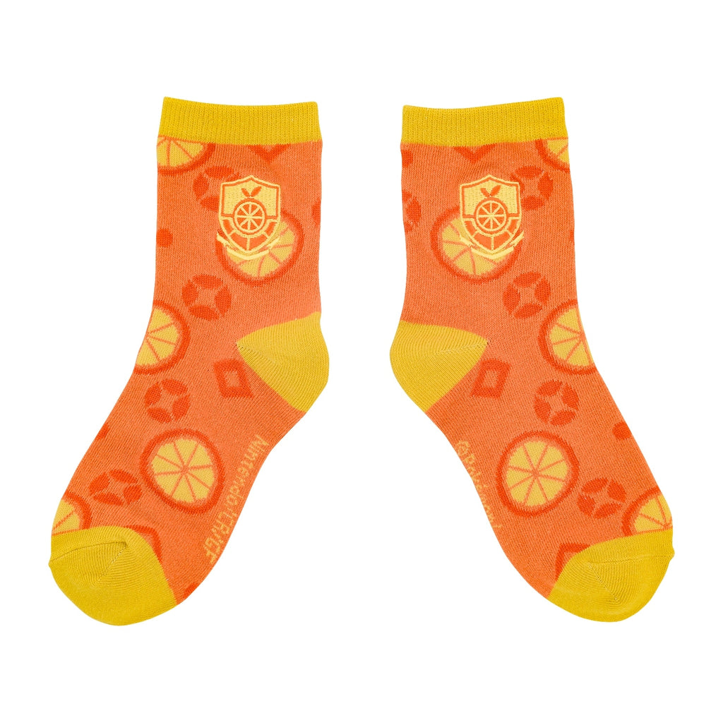 [Choice] Middle socks Orange Academy (23-25cm)