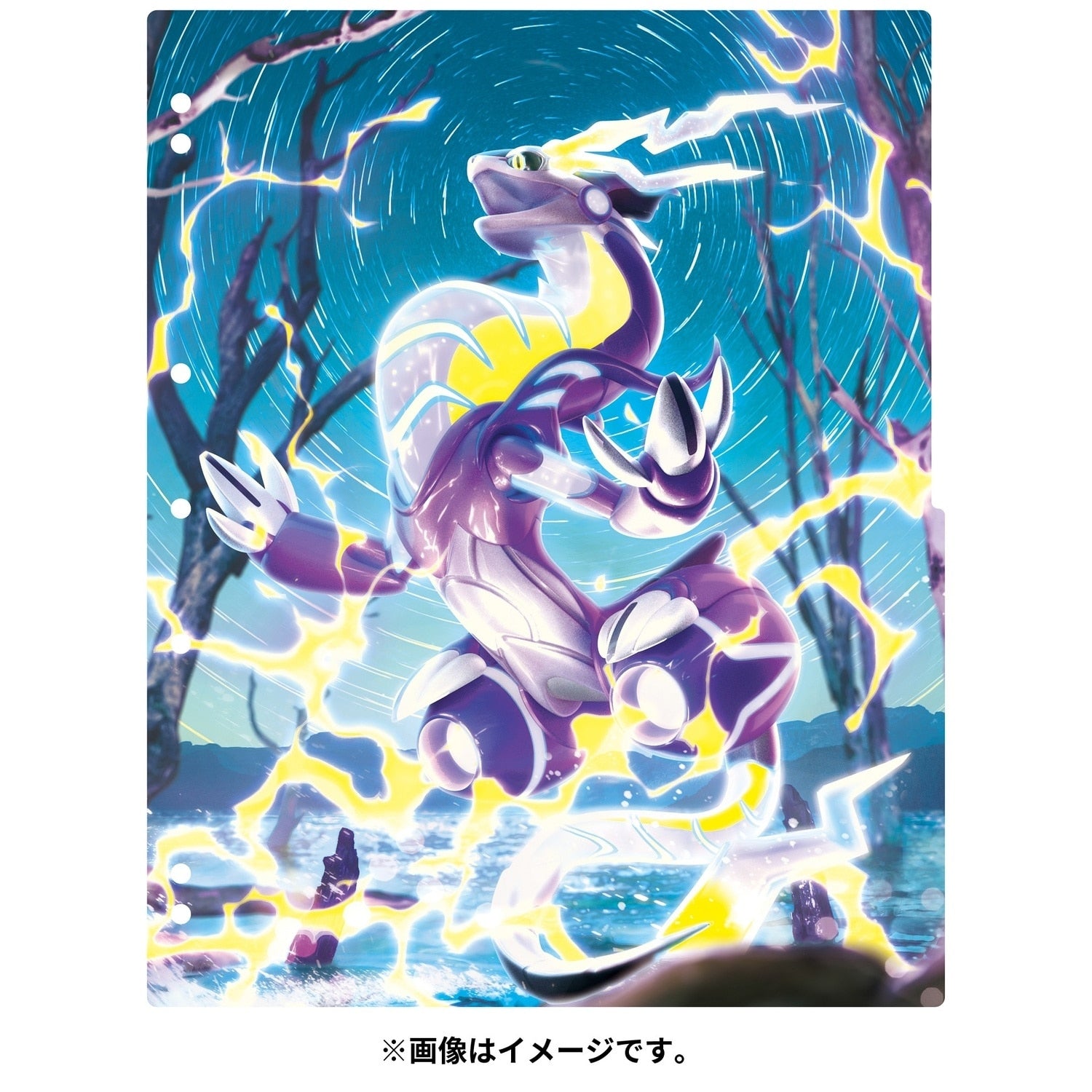 Pokemon TCG Collection Refill Koraidon & Miraidon | Japan Exclusive