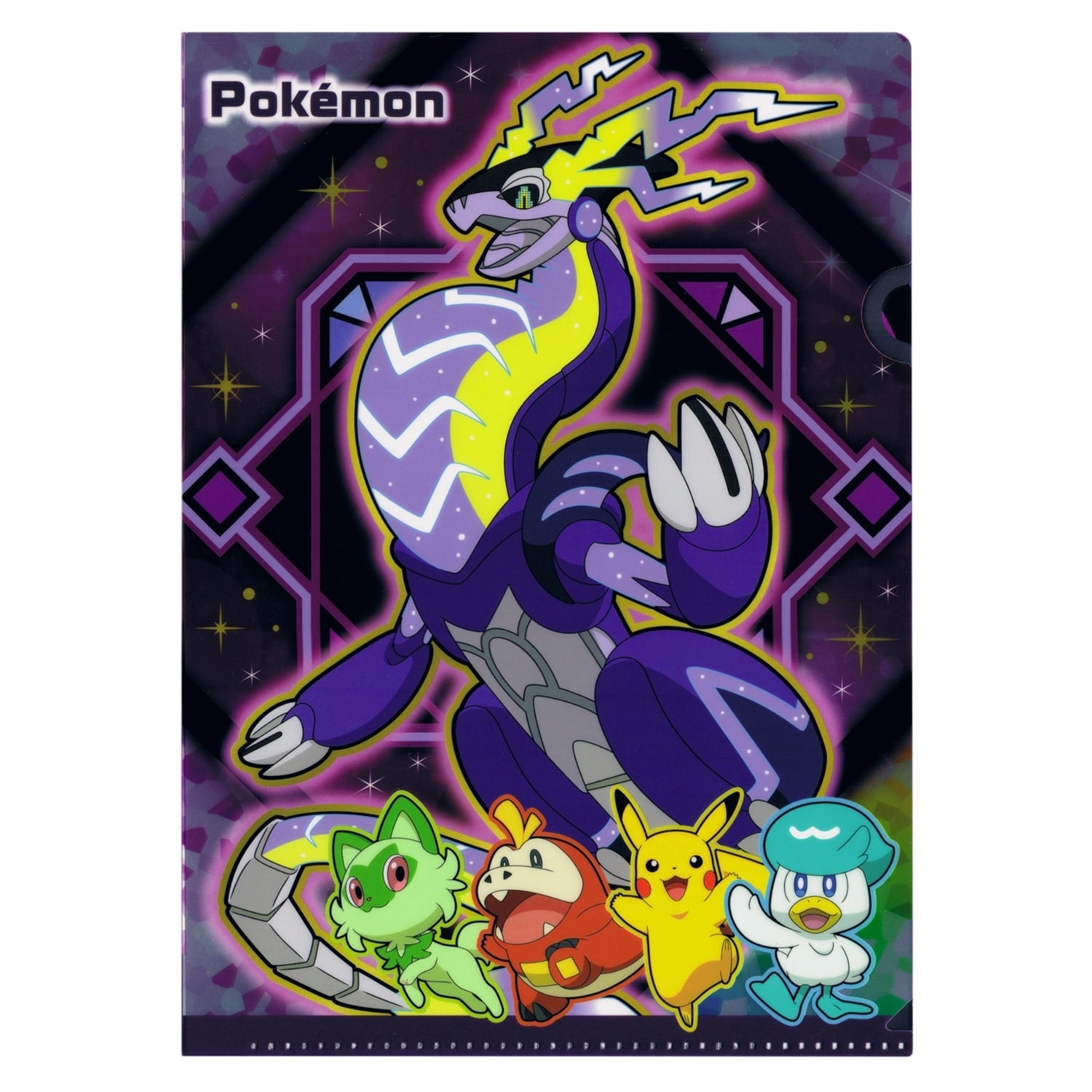 2 pocket clear file B S&V