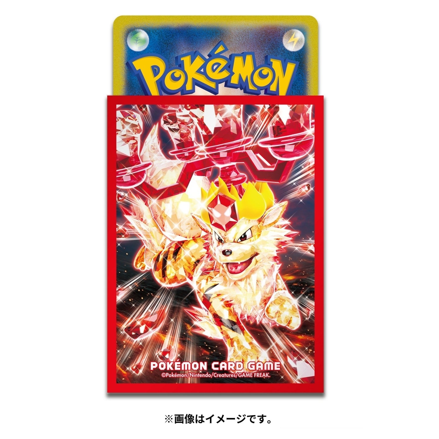Pokémon TCG Deck Shield Premium Gloss Terastal Arcanine (#59) Sleeves