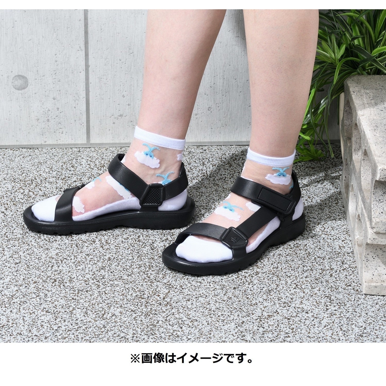 [Choice] Middle socks see-through chilt (23-24cm)