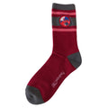 Printed patch socks Koraidon 23-25cm