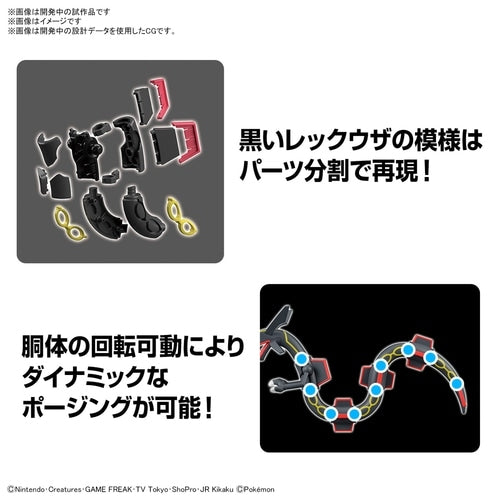 Rare Black Rayquaza model kit from Japan, with packaging