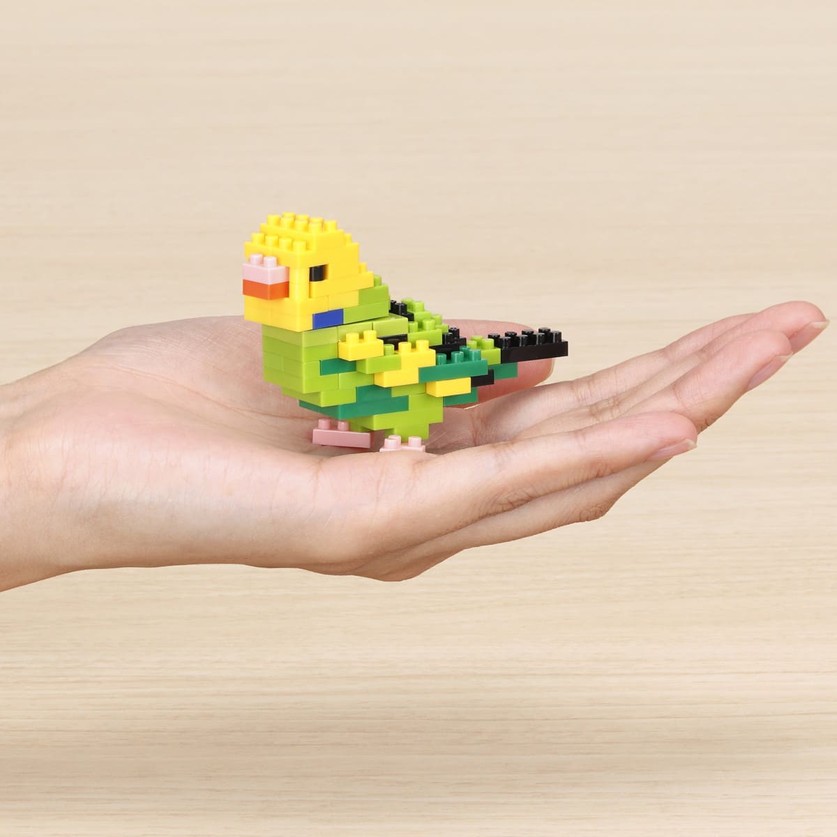 Nanoblock first set (budgie & mini pad & tweezers)