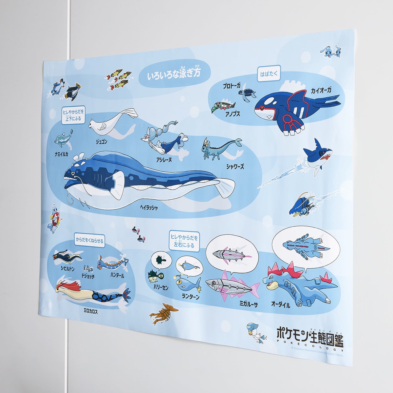 Bath Poster Pokemon Ecology Encyclopedia