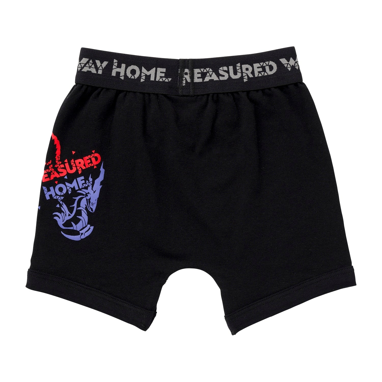 Boxer shorts TREASURED WAY HOME 110/130