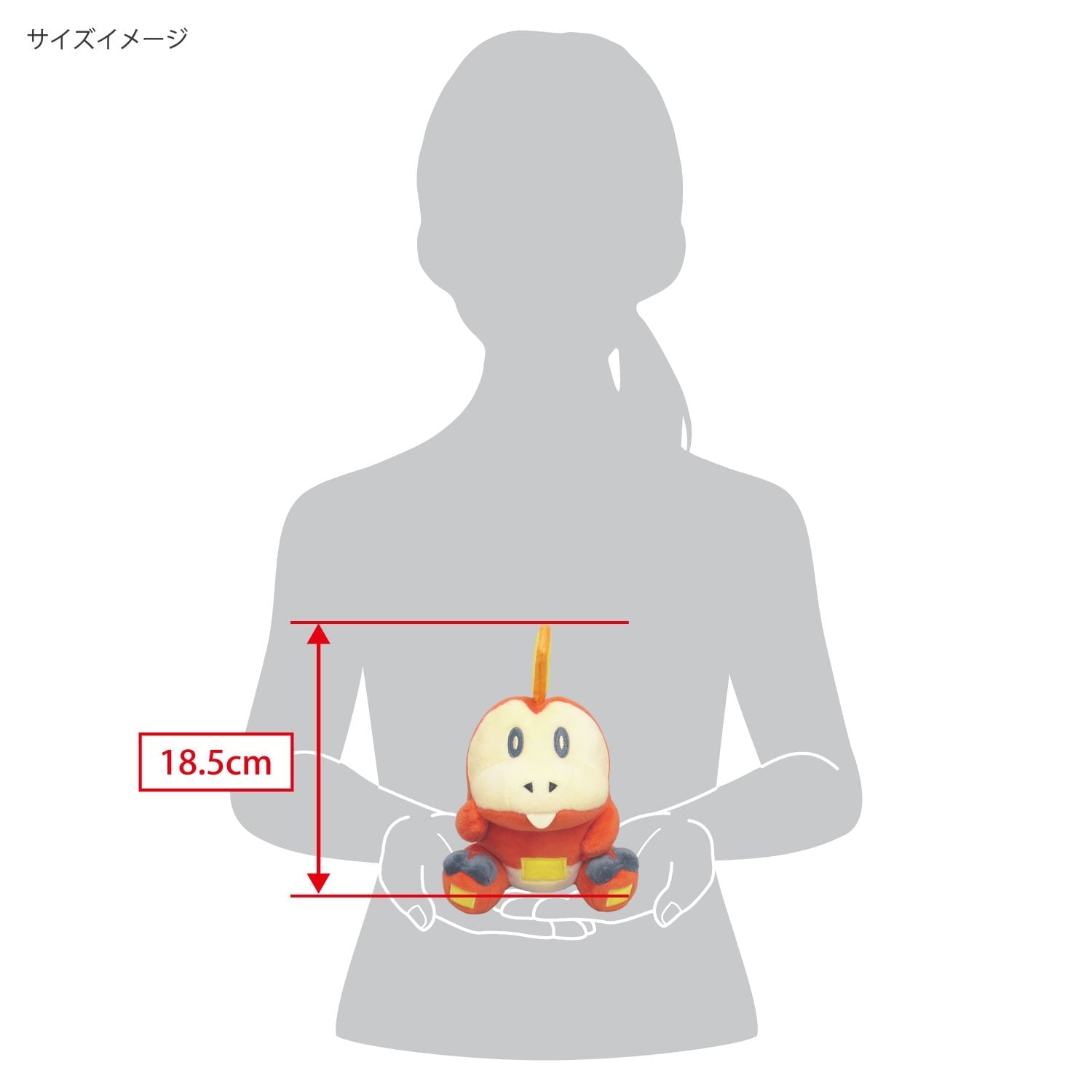 Authentic Hogeta plushie from Japan with official Pokemon tag