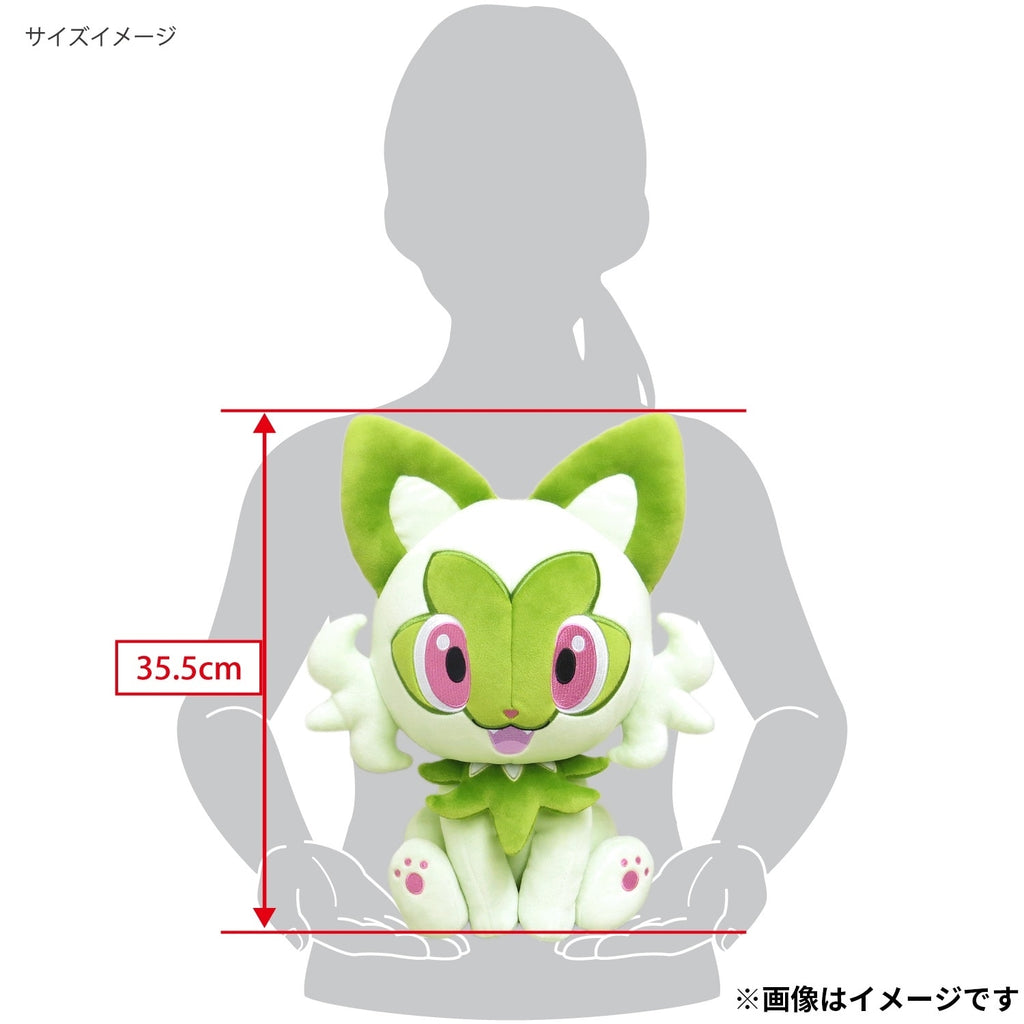 Potehugu Cushion Nyaoha, official Pokemon Center product from Japan, high quality