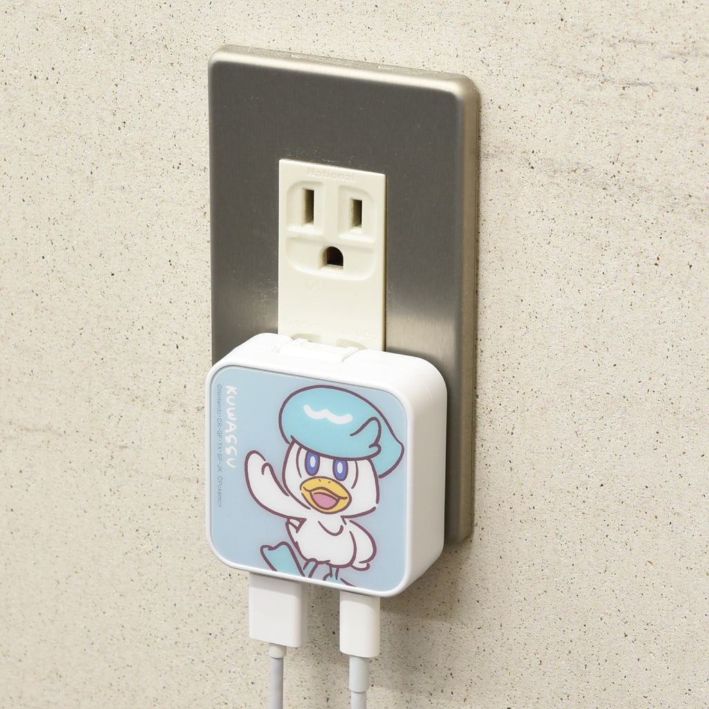 Quaxly USB adapter packaging from Japan, highlighting its authenticity and collectible value