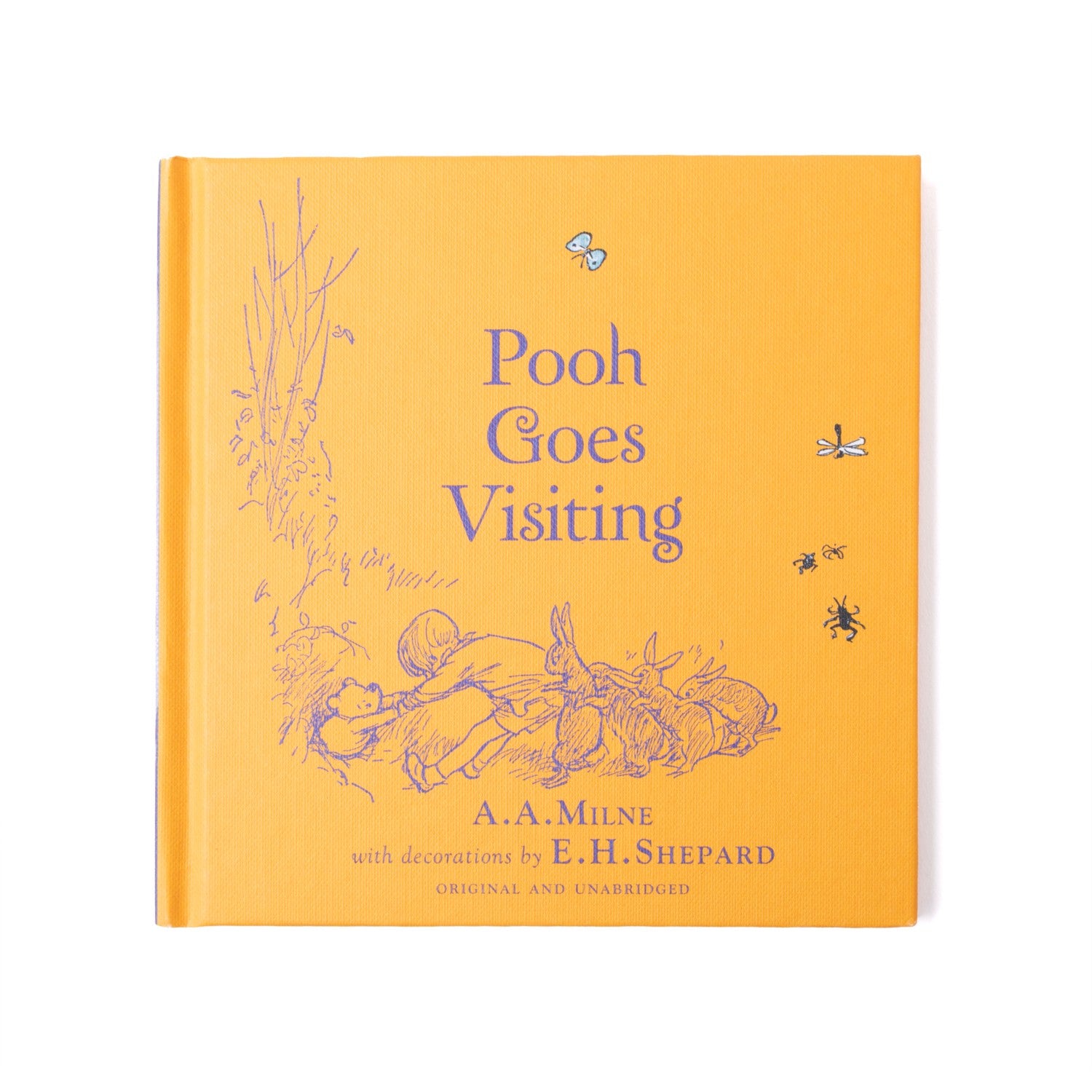 Pooh Goes Visiting