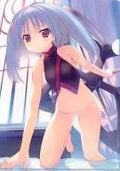 Tsurara A4 Clear File "PSP Dungeon Travelers 2" Yodobashi Camera Purchase benefits