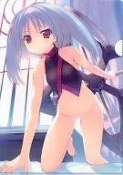 Tsurara A4 Clear File "PSP Dungeon Travelers 2" Yodobashi Camera Purchase benefits
