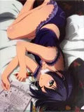 Kotoriyu Rokka A4 clear file "Kotoriyu Rokka, revised? Theater version Love, Chunibyo & Other Delusions?" daughter TYPE Supplement, October 2013 issue