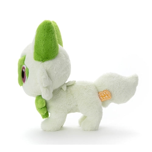 Front view of M/Nyaoha Plush, Japan exclusive collectible