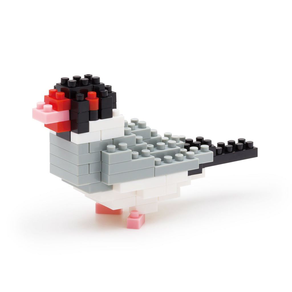 [Store limited reprint product] Nanoblock Java sparrow