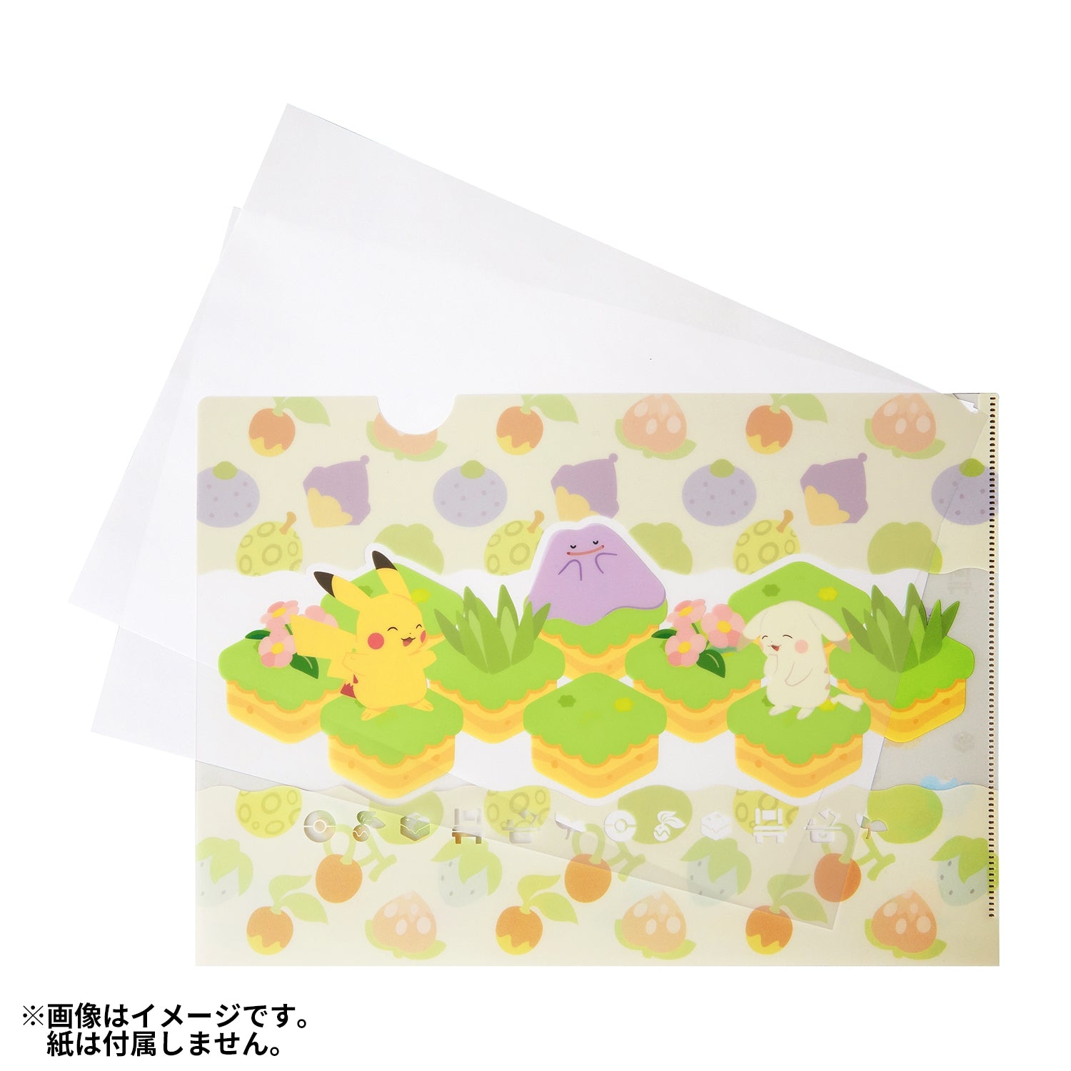 A4 clear file set of 2 Poko A Pokemon
