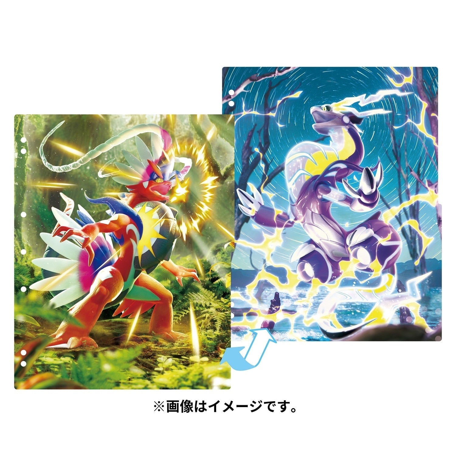 Pokemon TCG Collection Refill Koraidon & Miraidon | Japan Exclusive