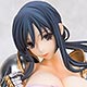 Walkure Romanze Re:tell Ayako Hiiragi 1/6 Complete Figure