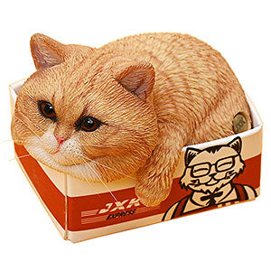 JXK Small Cat in the Cardboard 4.0 B