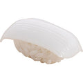 Sushi plastic model squid 1/1 plastic model