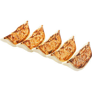 Gyoza plastic model 1/1 plastic model