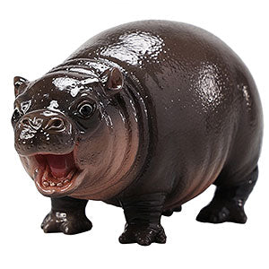 1/6 baby hippo