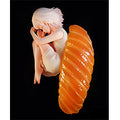 Sushi Fairy Salmon Completed Figure