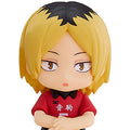 Nendoroid Plus Haikyuu! ! Rubber mascot